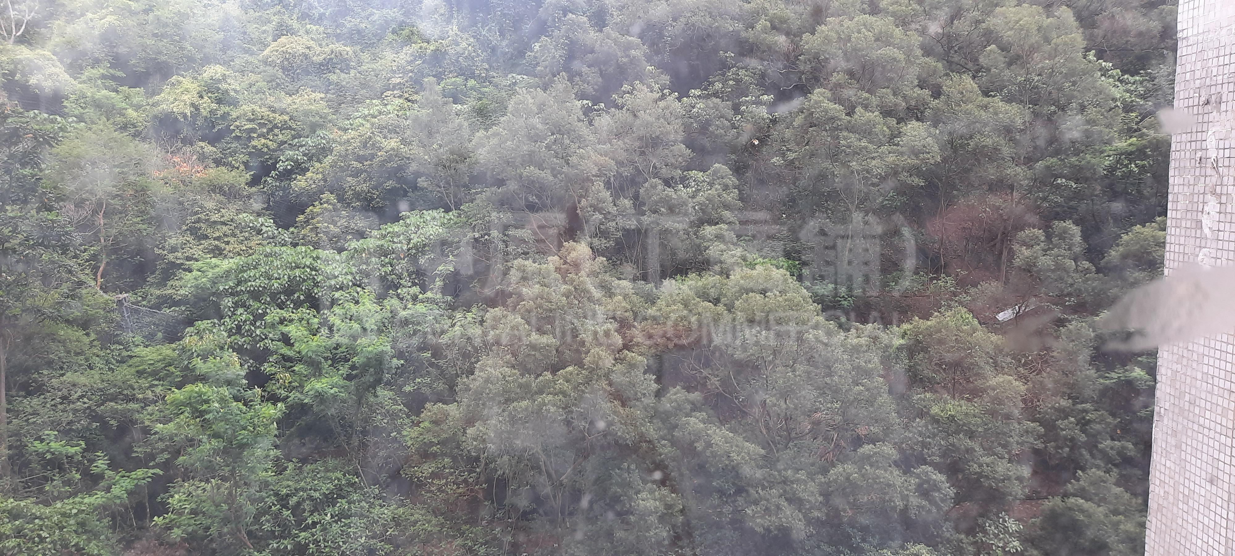 華衛工貿中心的相片資料｜工商樓盤｜中原工商舖