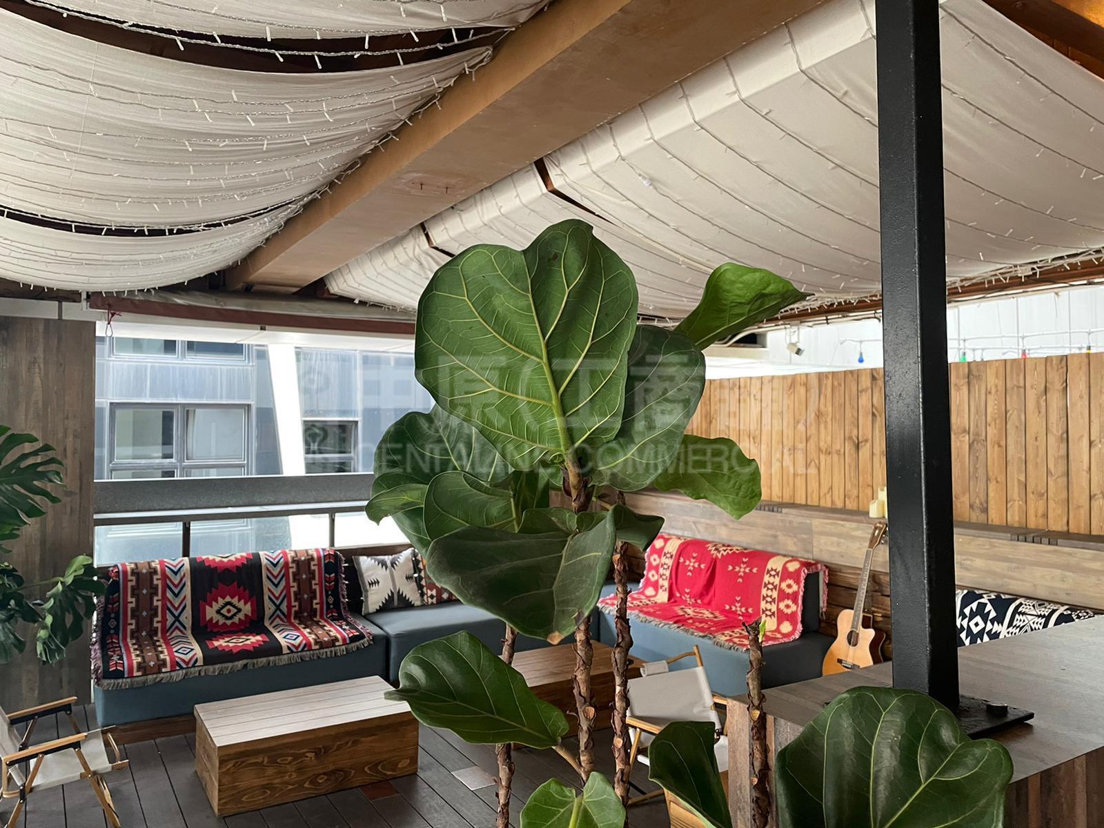 Photo materials about Lkf 29 | Office Listing | Centaline Commercial
