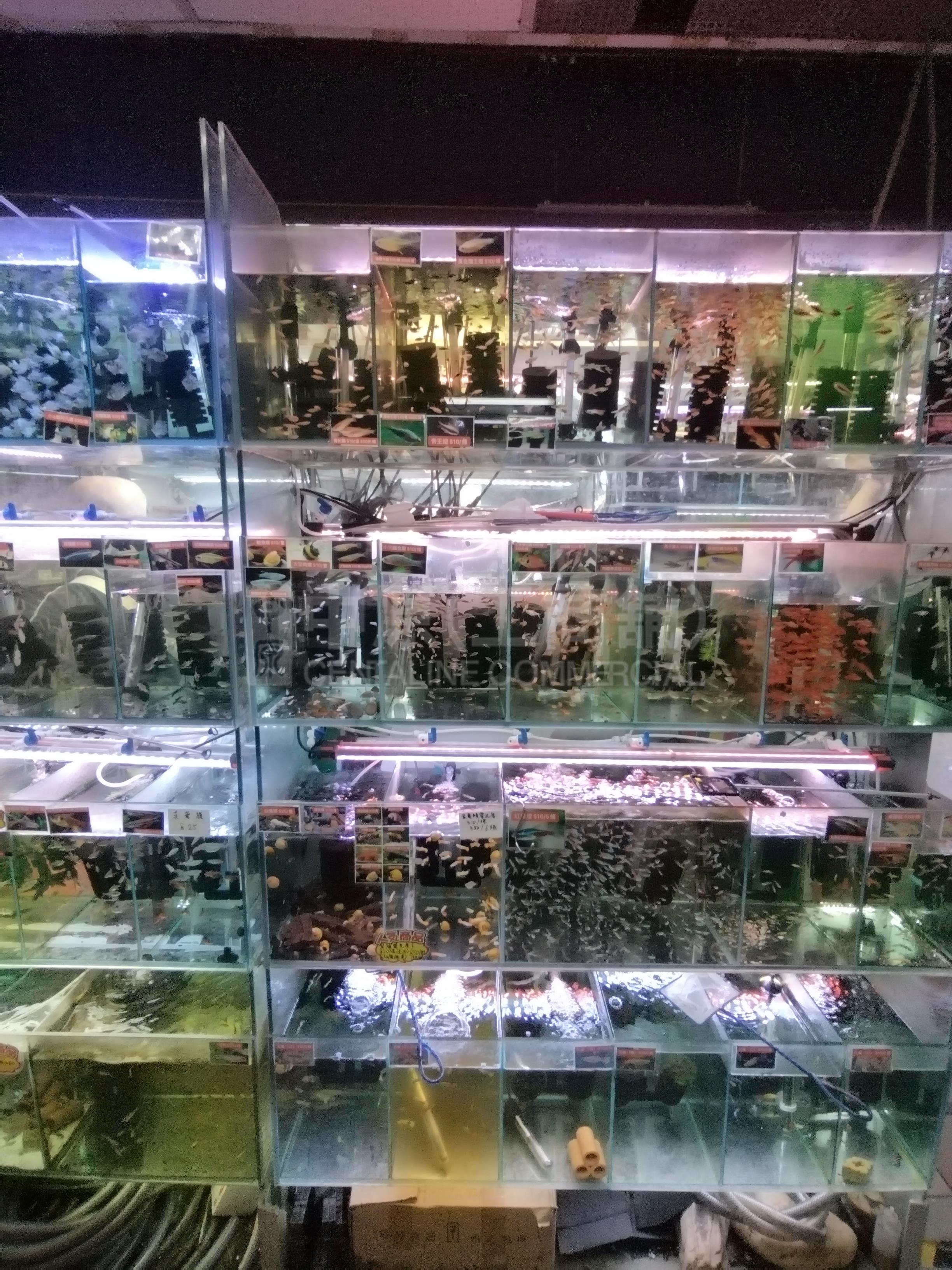 Photo materials about Lik Sang Plaza | Retail Listing | Centaline Commercial