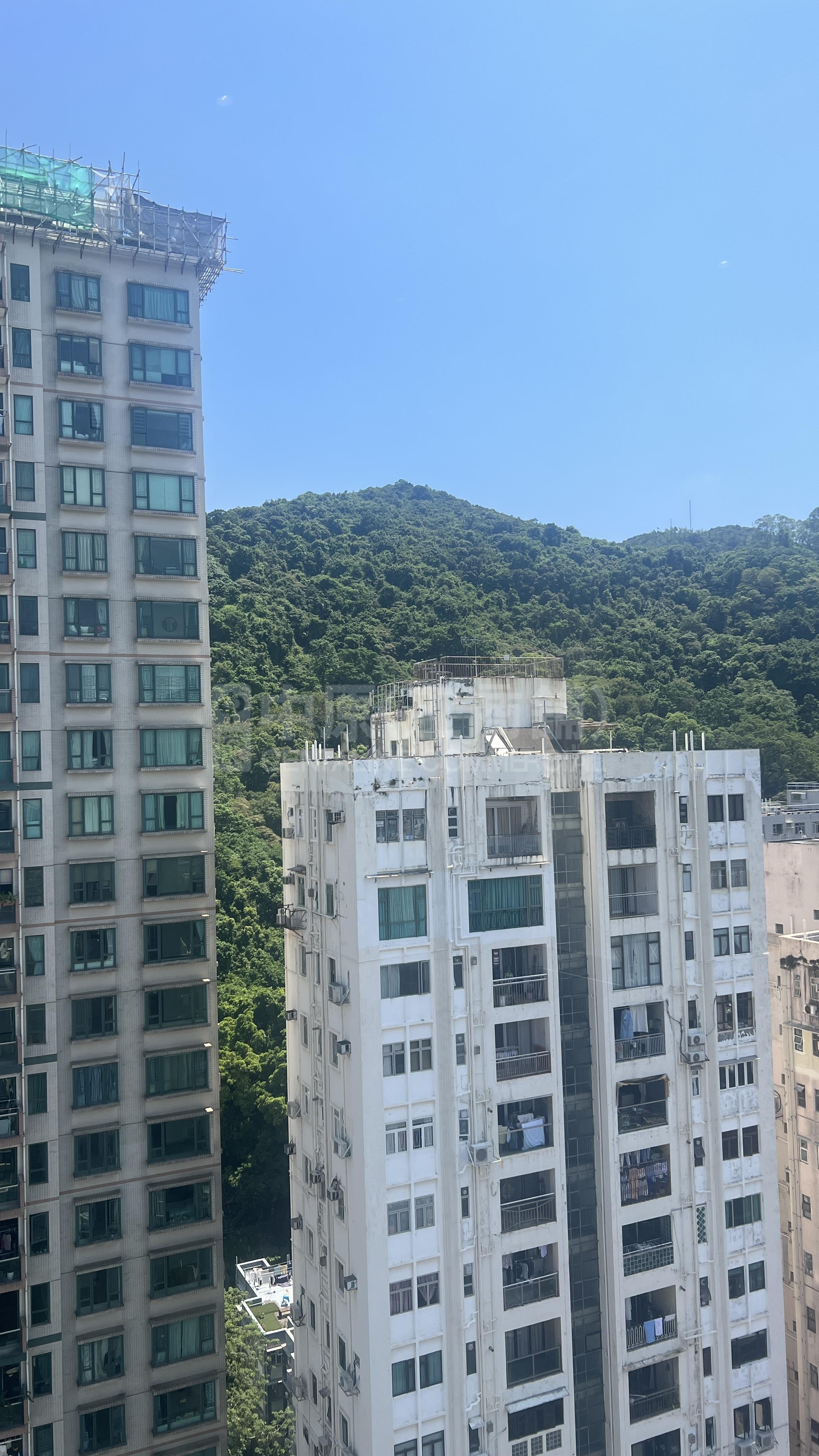英皇道39號的相片資料｜寫字樓樓盤｜中原工商舖