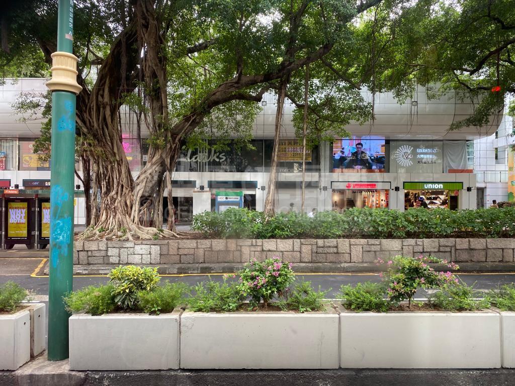 尖沙咀彌敦道的相片資料｜商舖樓盤｜中原工商舖