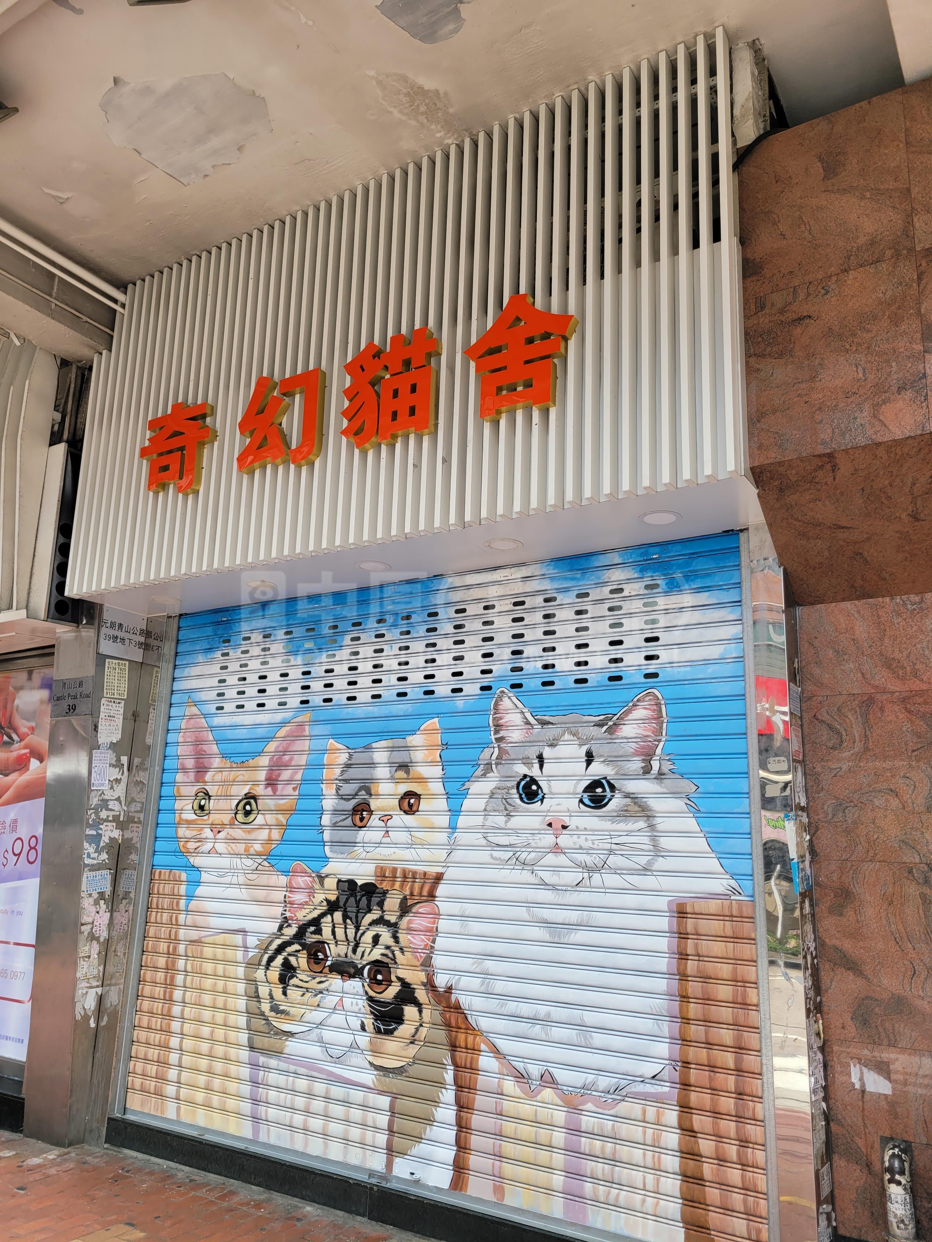 Photo materials about Yuen Long Castle Peak Road Yuen Long | Retail Listing | Centaline Commercial