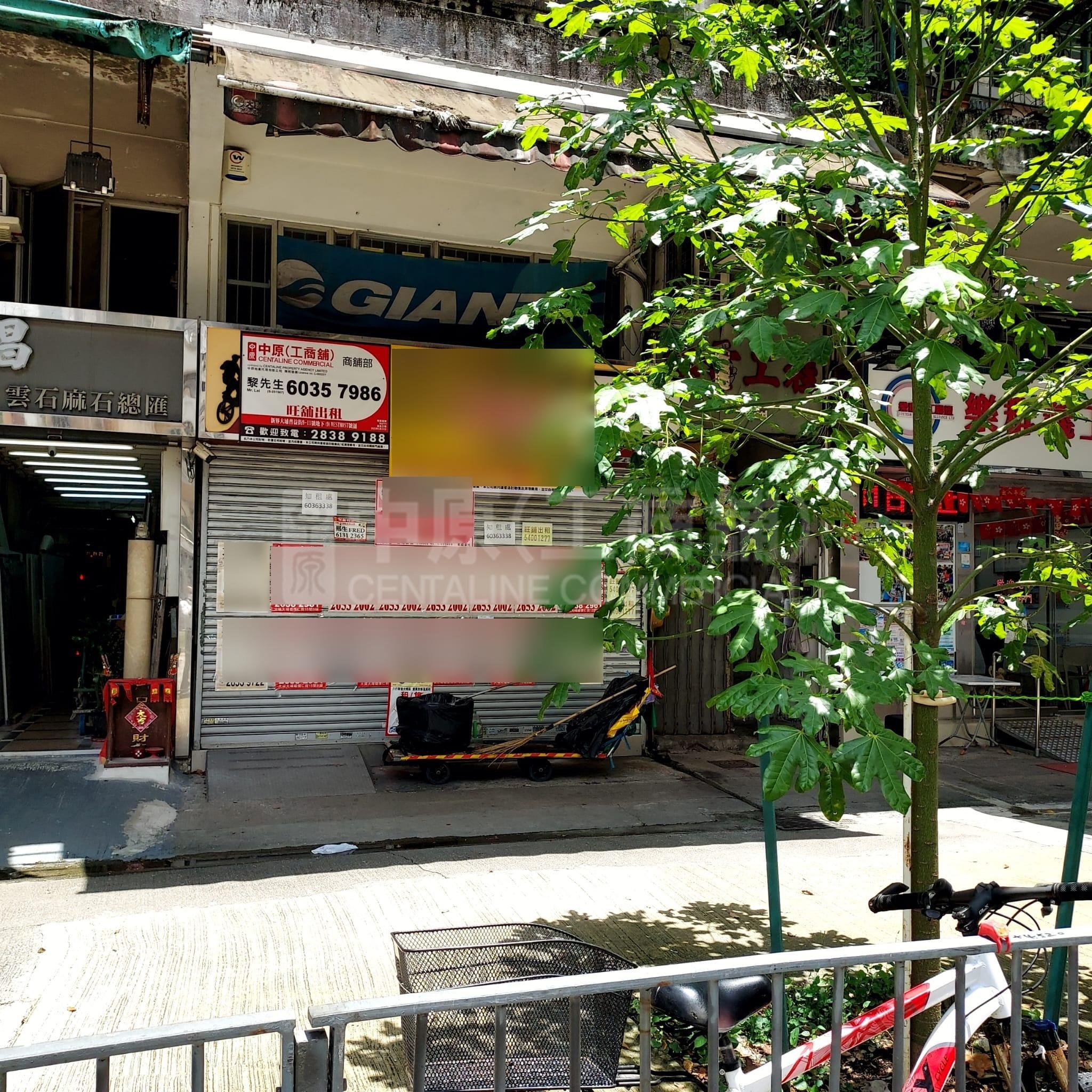 Tai Po Po Yick Street｜Retail Property | Centaline Commercial