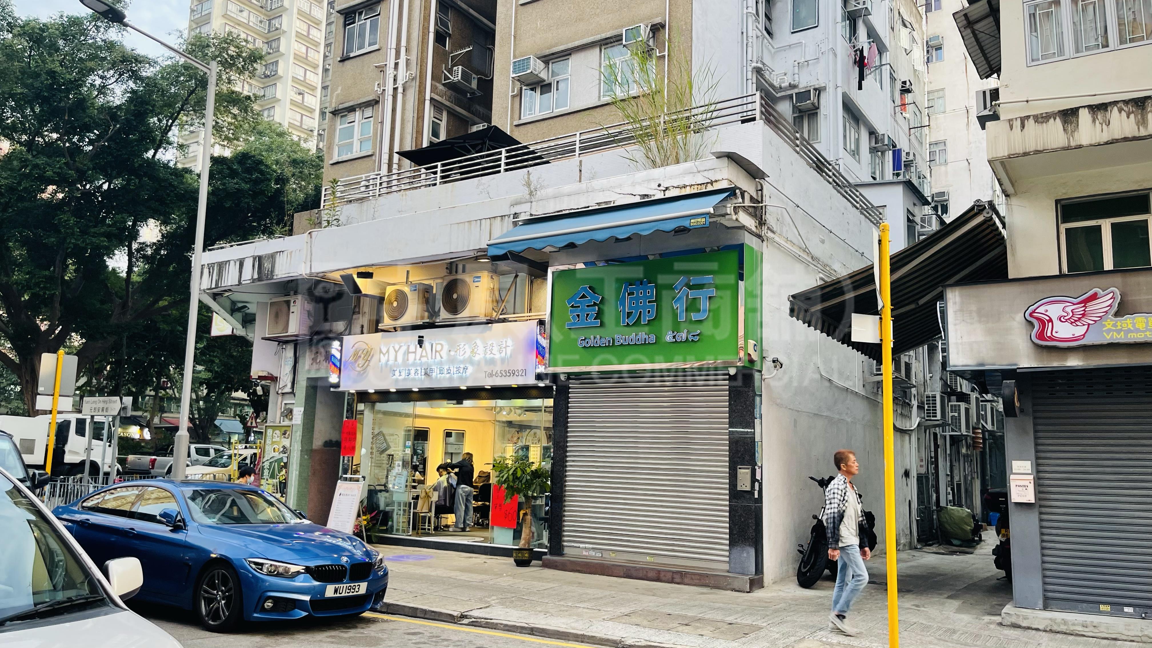 元朗马田路的相片资料｜商铺楼盘｜中原工商铺