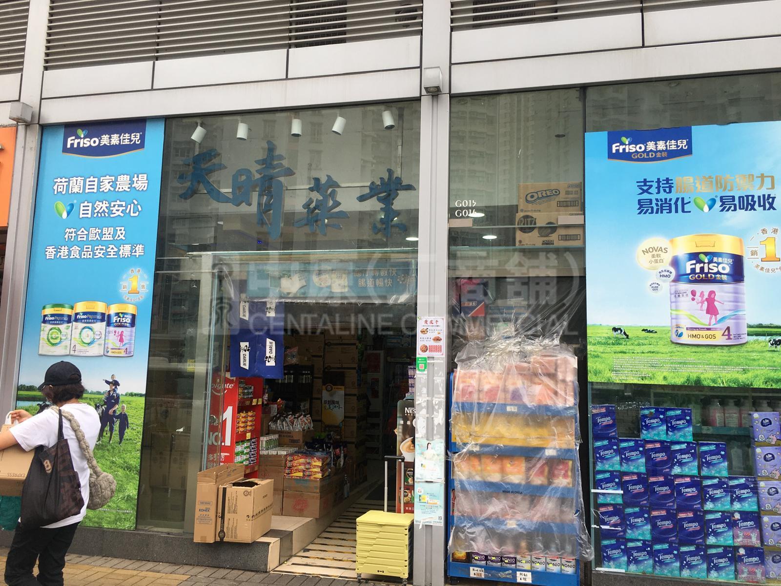 天水圍天秀路｜商舖樓盤｜中原工商舖