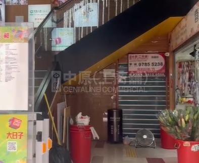 Tai Po Heung Sze Wui Street｜Retail Property | Centaline Commercial