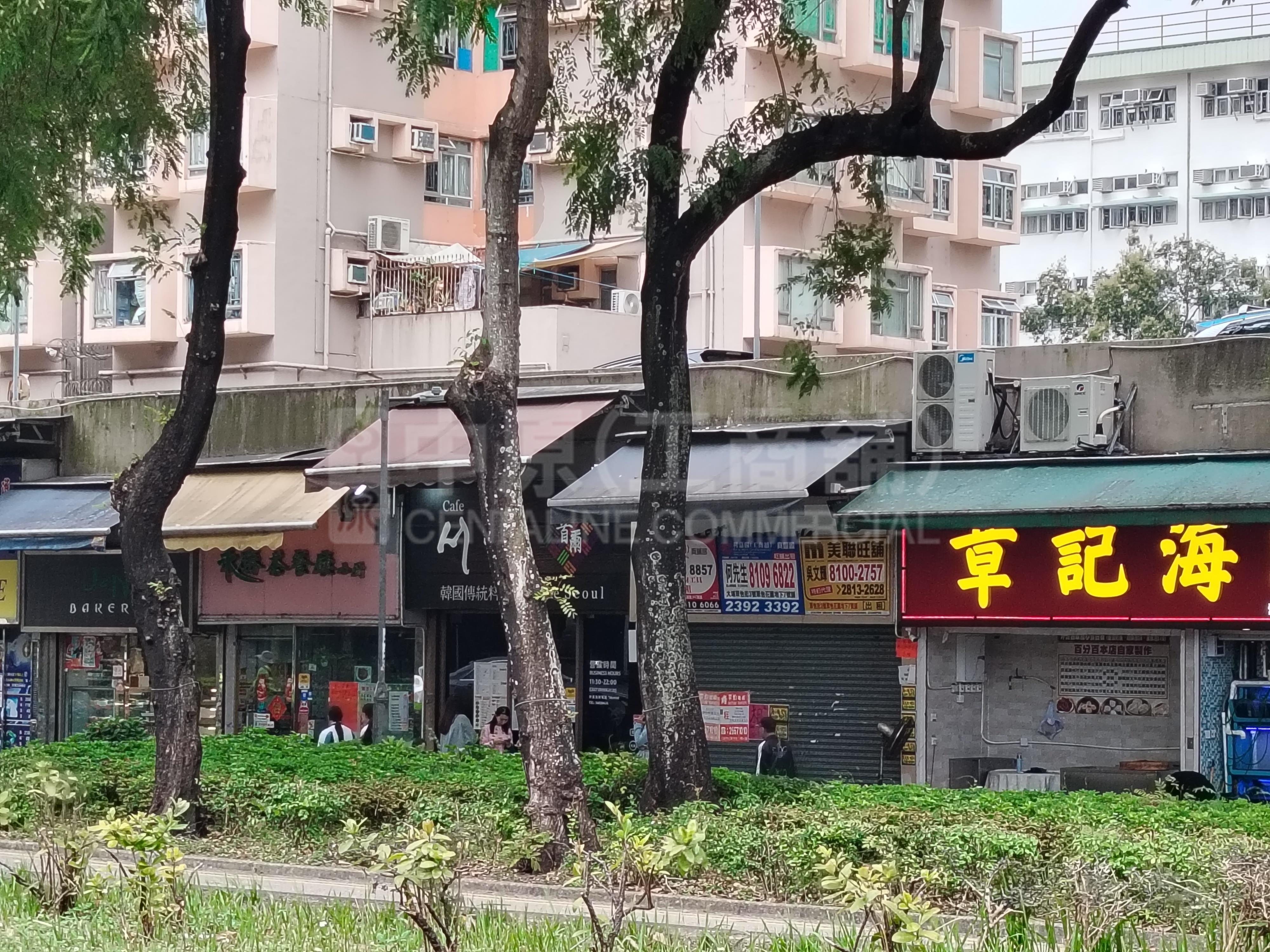 大埔翠怡街｜商舖樓盤｜中原工商舖